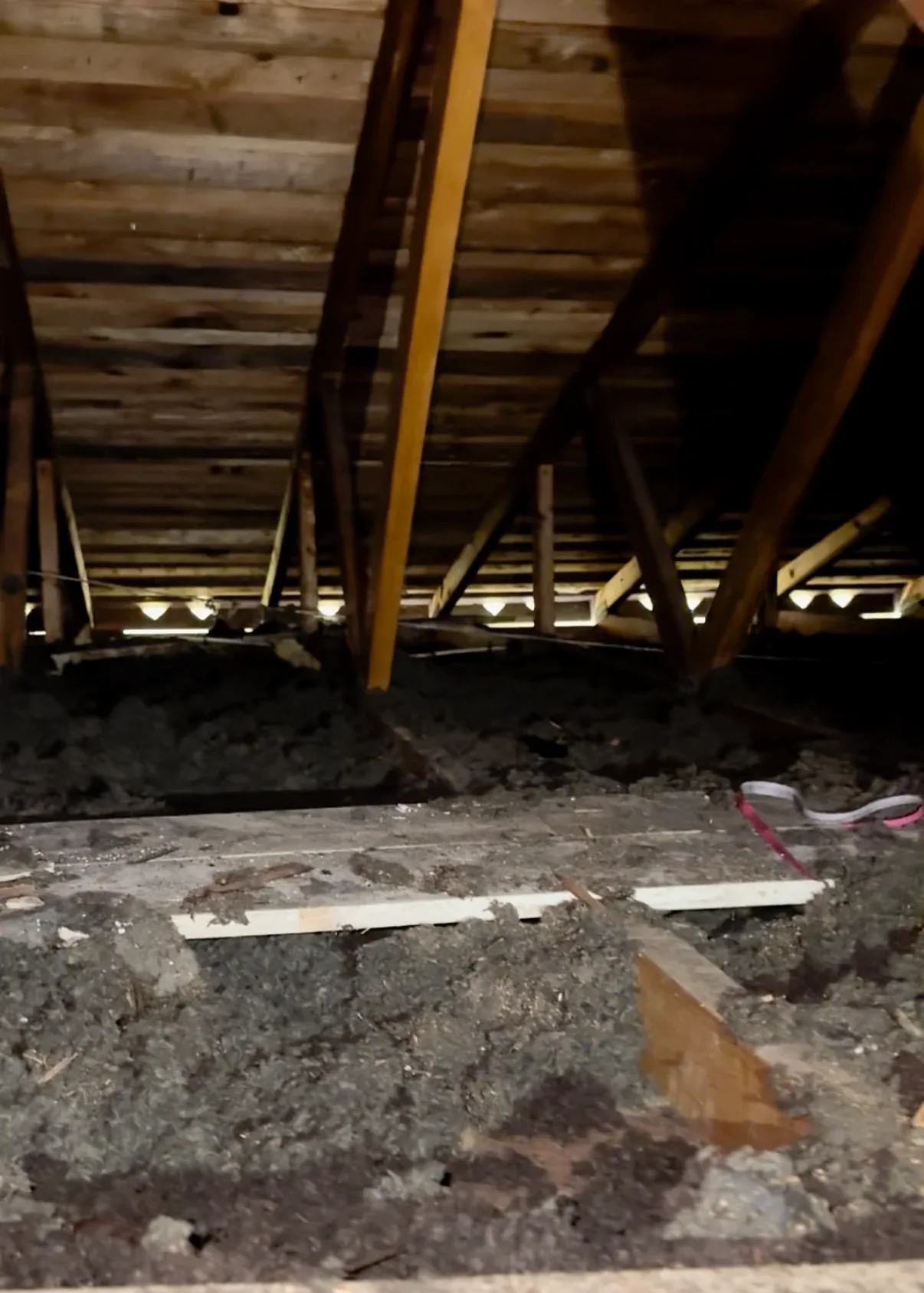 Existing Bellevue roof structure before skylight installation